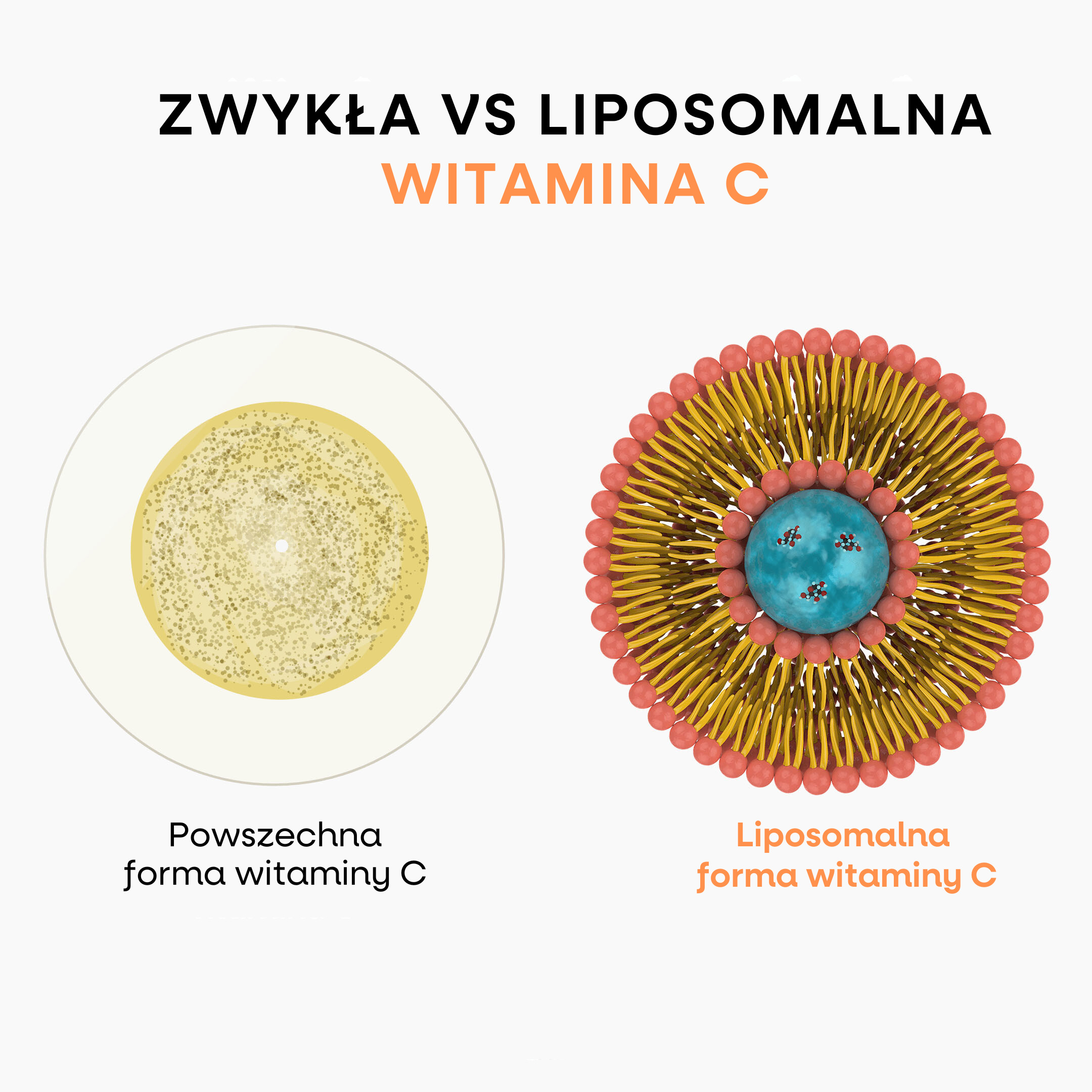 (Polština) (Chorvatština)